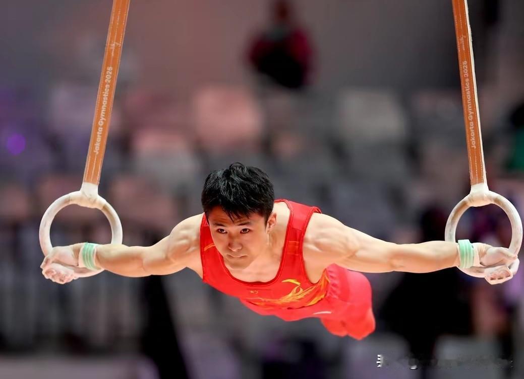 体操世锦赛，男子全能/最终奖牌榜如下1，🇯🇵桥本大辉—获得金牌（85.1