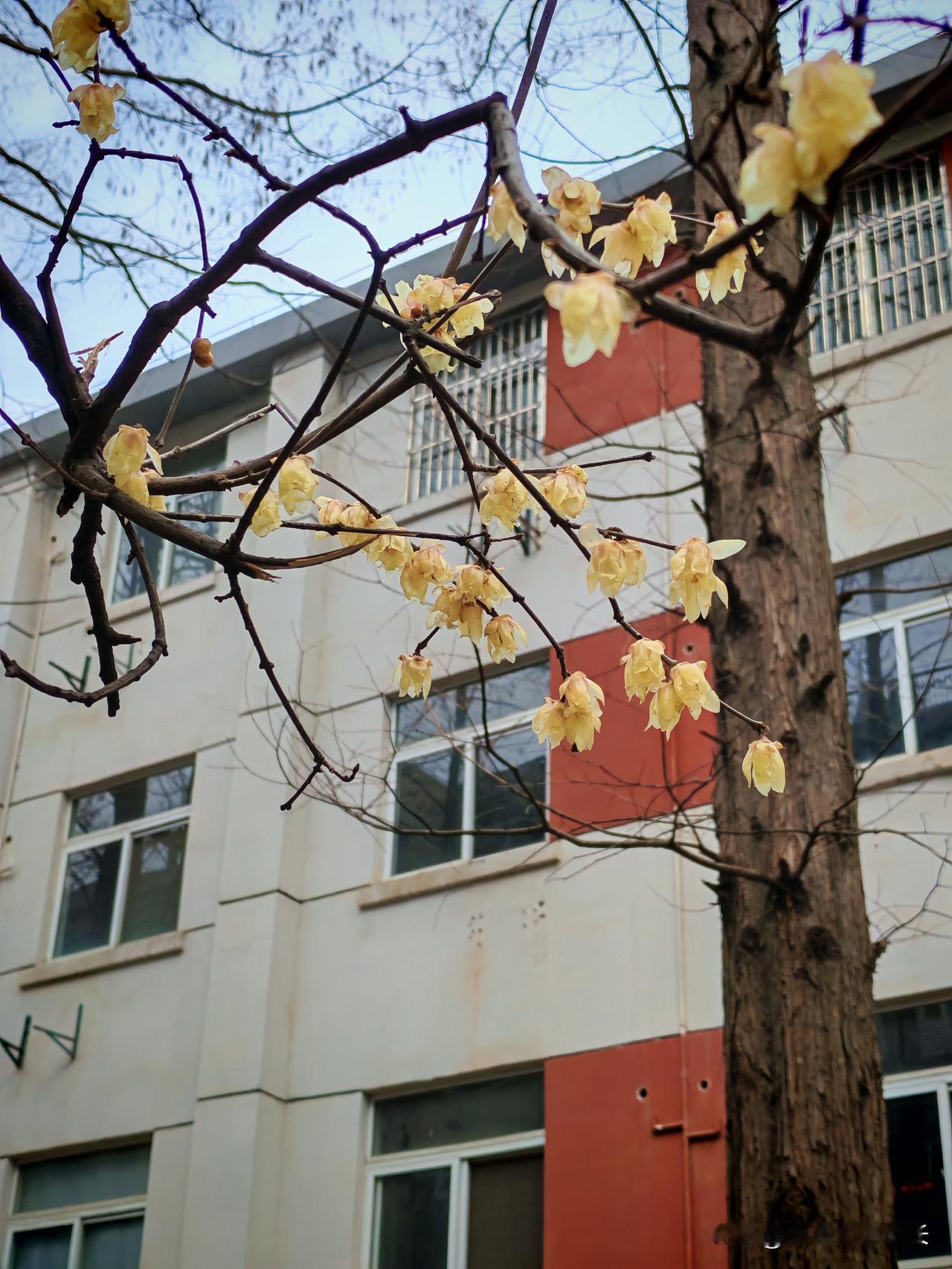 我们老了,没存下养老钱怎么办?退休后才懂：钱，真的能决定晚年的快乐人到中年，