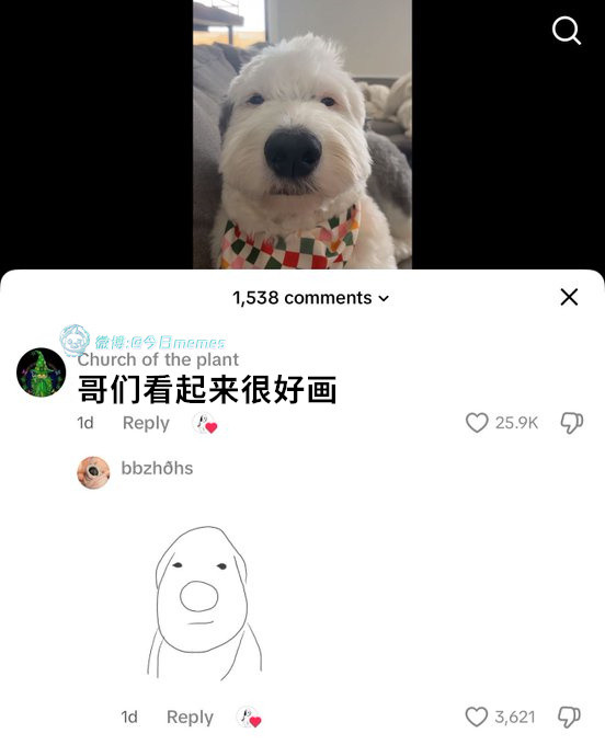 哼~（9gag）哎呀​​​