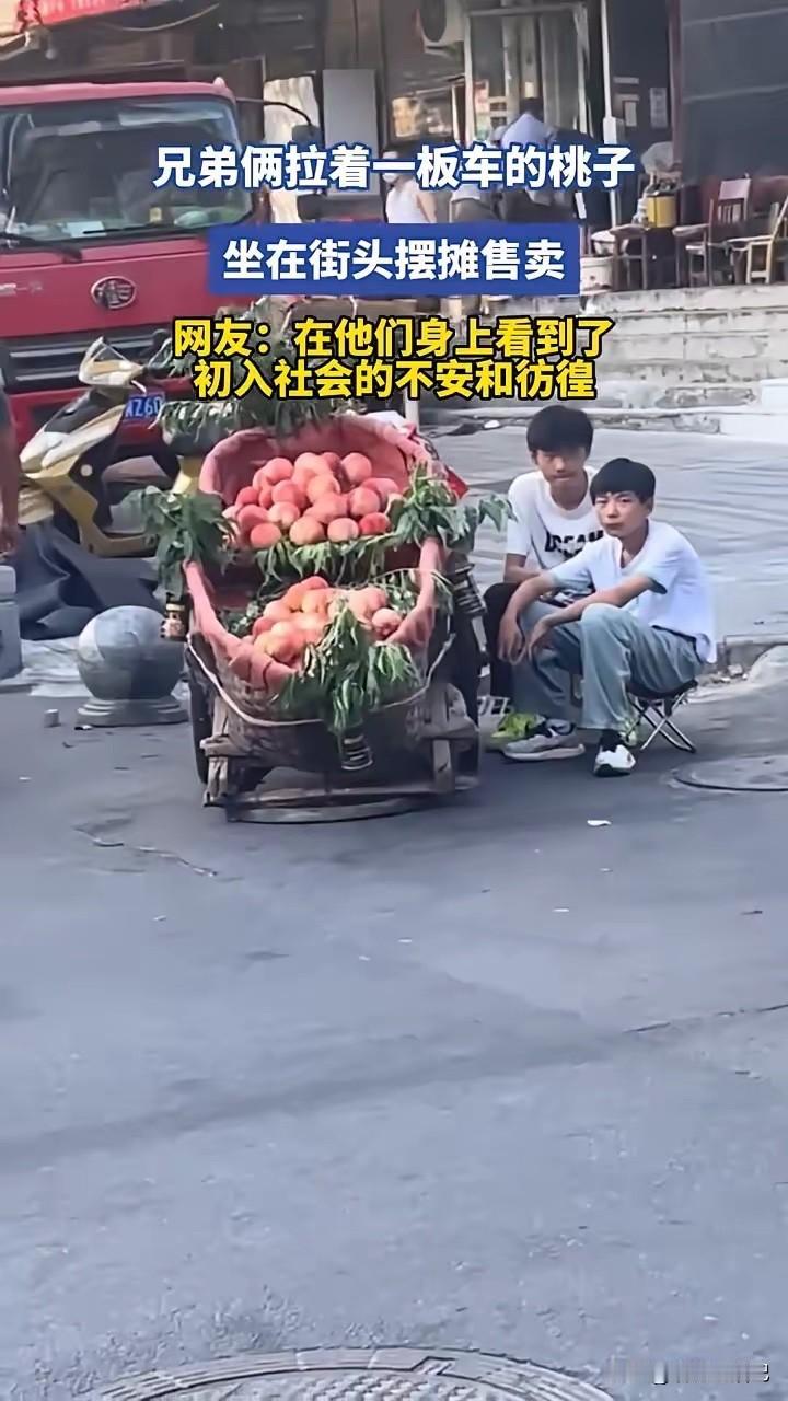 如果你刚好遇到他们，会买几斤吗？