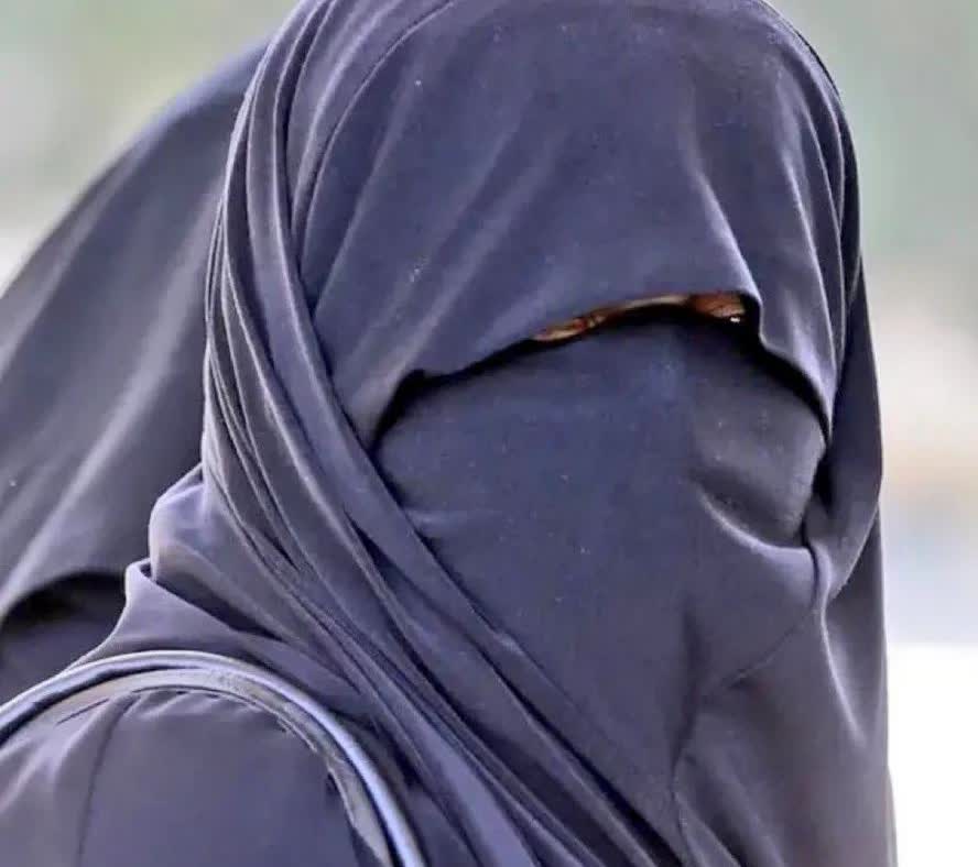 瑞士，穆斯林女子因穿戴罩袍（burqa）被罚款100瑞士法郎（126美元）