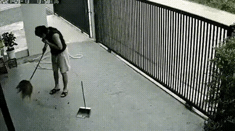 谁还没有个脑子不够用的时候呢[笑着哭]