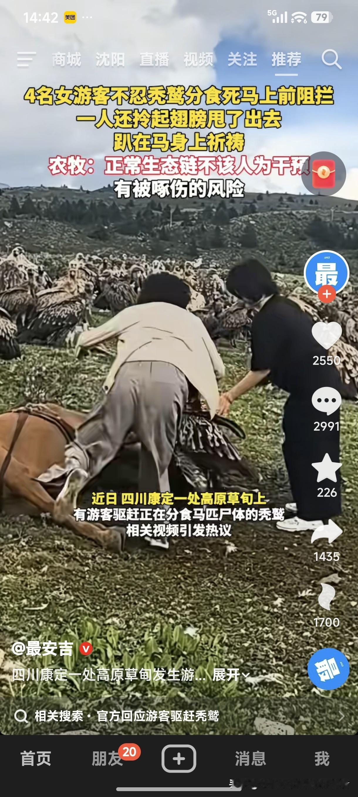 “爱心泛滥”还是“肆意妄为”！网上看见，四川康定一处高原草甸上，4名女游客不忍