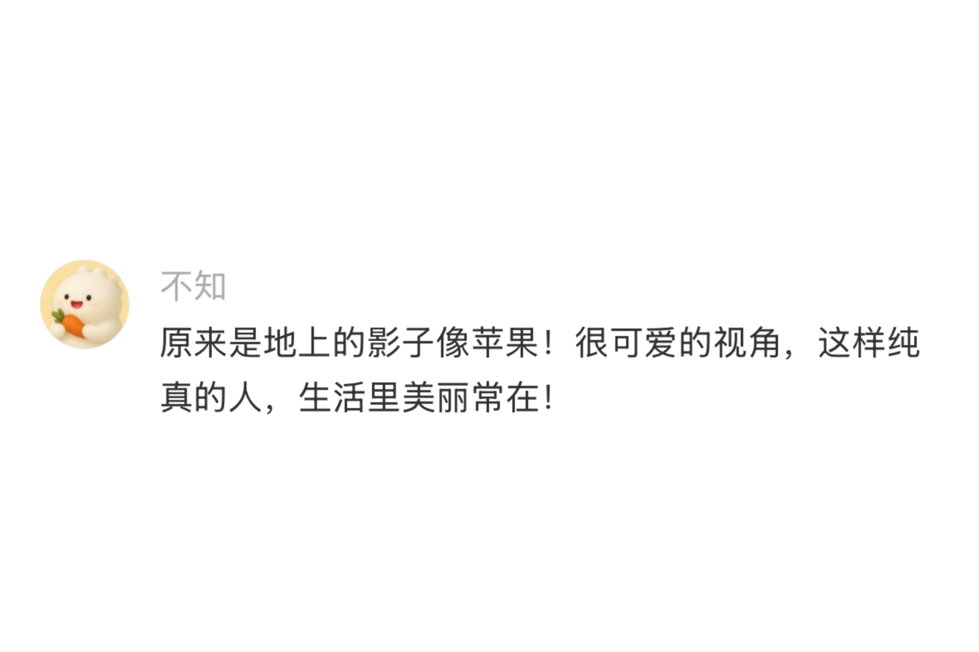 汽车的倒影是苹果诶！