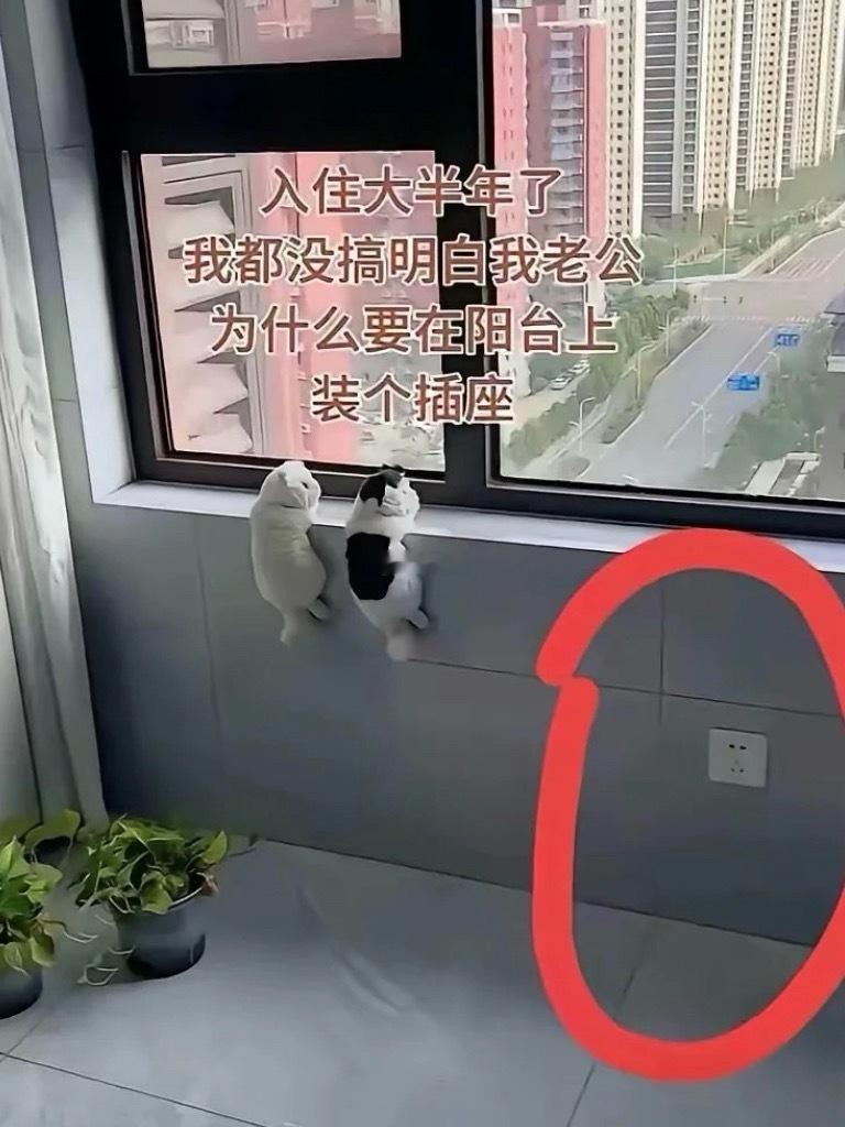 作为女生居然秒懂