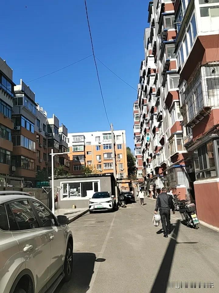 真心话茶局