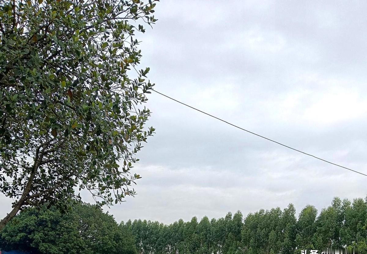 大多数人混得好，是选择对了。一个老师90年代被瞧不起，后来工资上涨年薪二十多万