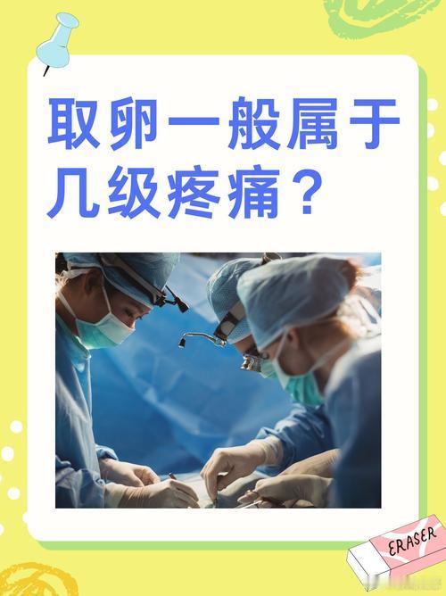河北代孕取卵不打麻药刷到“河北涿州地下代孕取卵不打麻药”的卧底细节，我后背直发