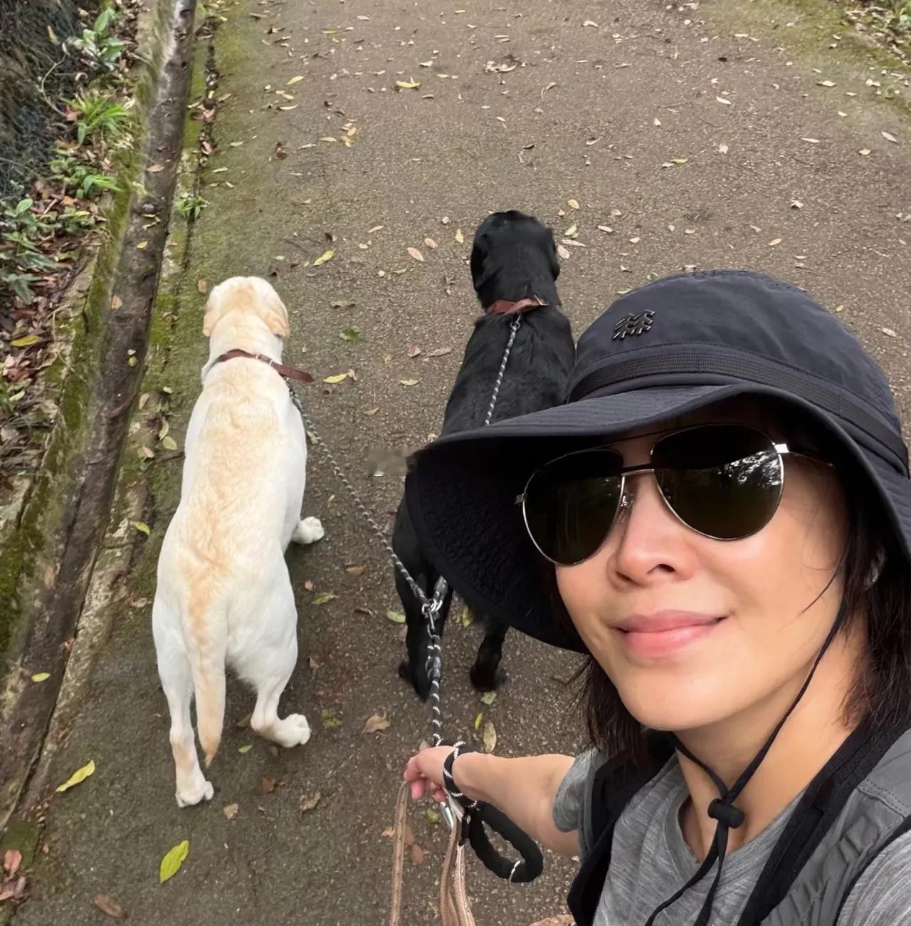 刘嘉玲带狗狗爬山，今天还有一个新成员，是一只灰色的小泰迪！这是她今年新领养的小狗