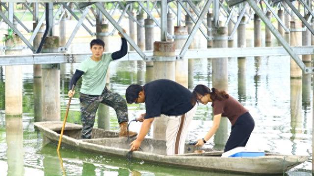光伏板下养鱼难? 这群大学生凌晨四点来“把脉”