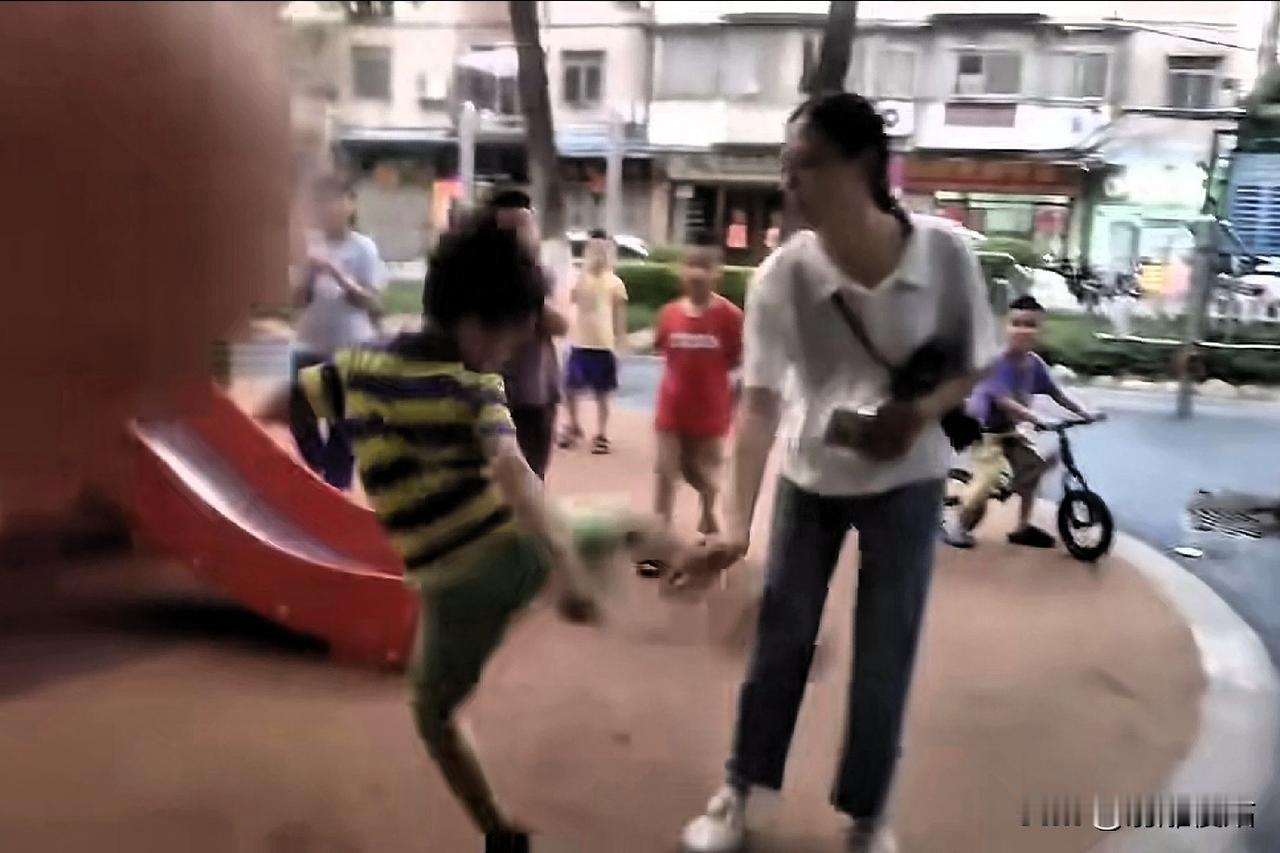 敢打大人的小孩，女子带孩子在游乐场玩耍，估计和另外一个小男孩发生了些矛盾，于是，