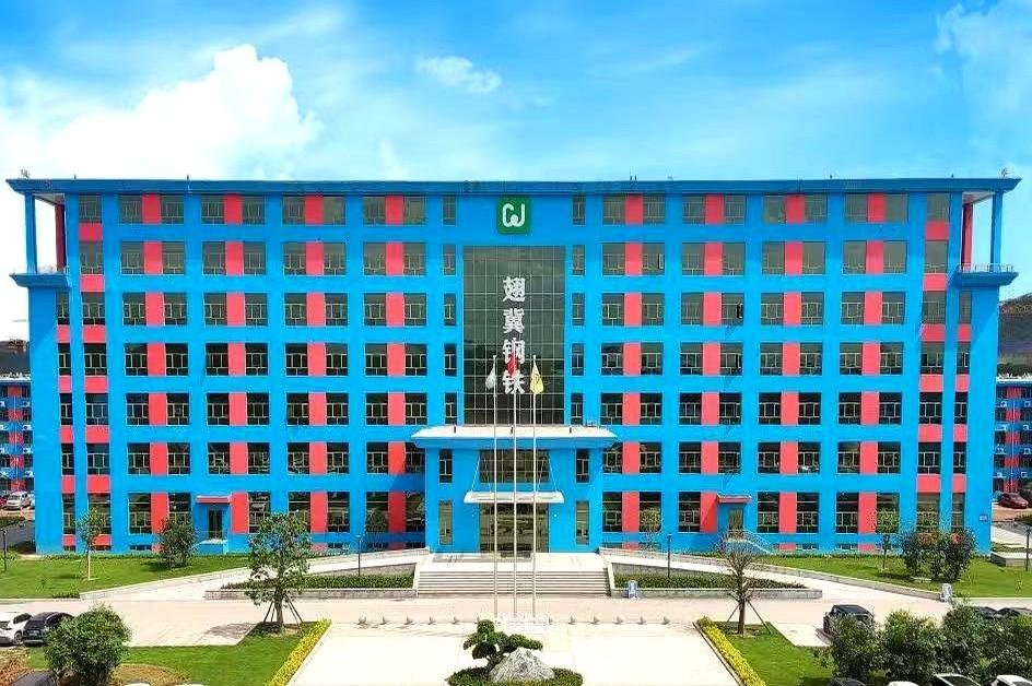 广西自治区领导近日深入梧州市调研重大项目建设，其中单个项目投资最大的是广西翅冀新