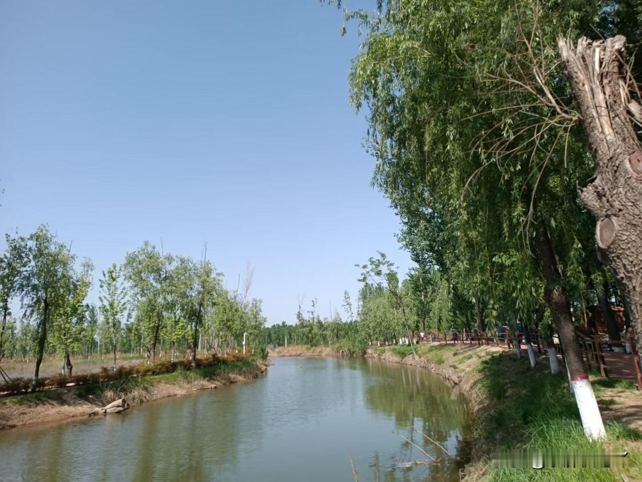 有些女的不喜欢上班，就喜欢生孩子。因为生孩子不用上班，就在家带孩子。其实，孩子也