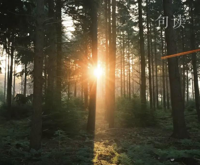 新规：邻居扰民，有可能会被拘留……住低档小区如同和低素质的人为伍没素质没