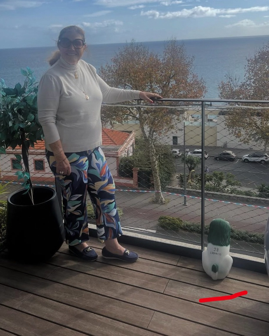 蹲着的小狗狗，是罗罗