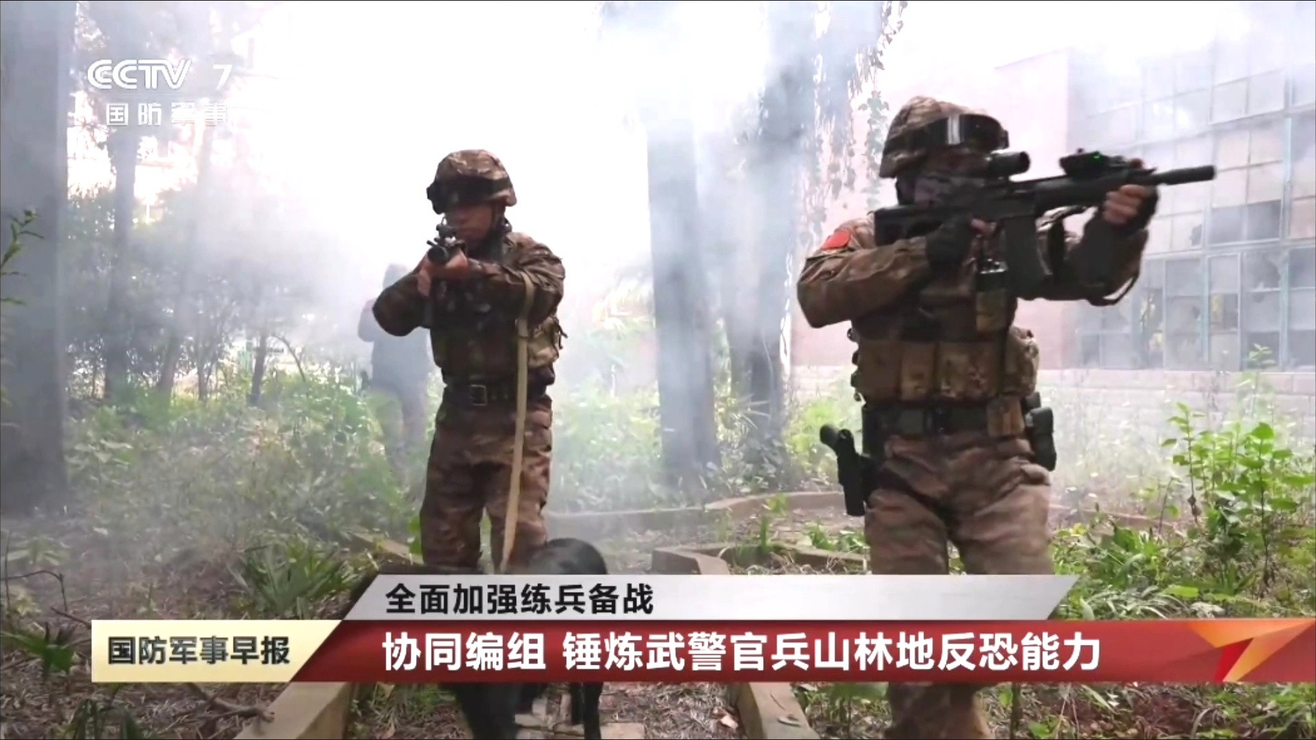 武警云南总队某大队山林地反恐演练