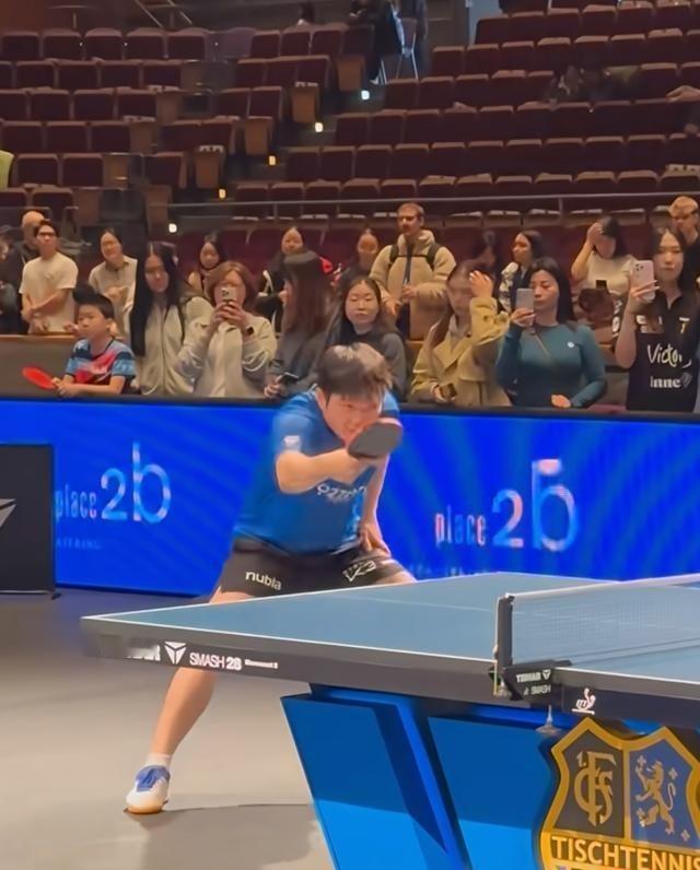 顶级选手的秘密，往往藏在最无聊的细节里。樊振东的训练笔记，记的不是战术，是胶皮