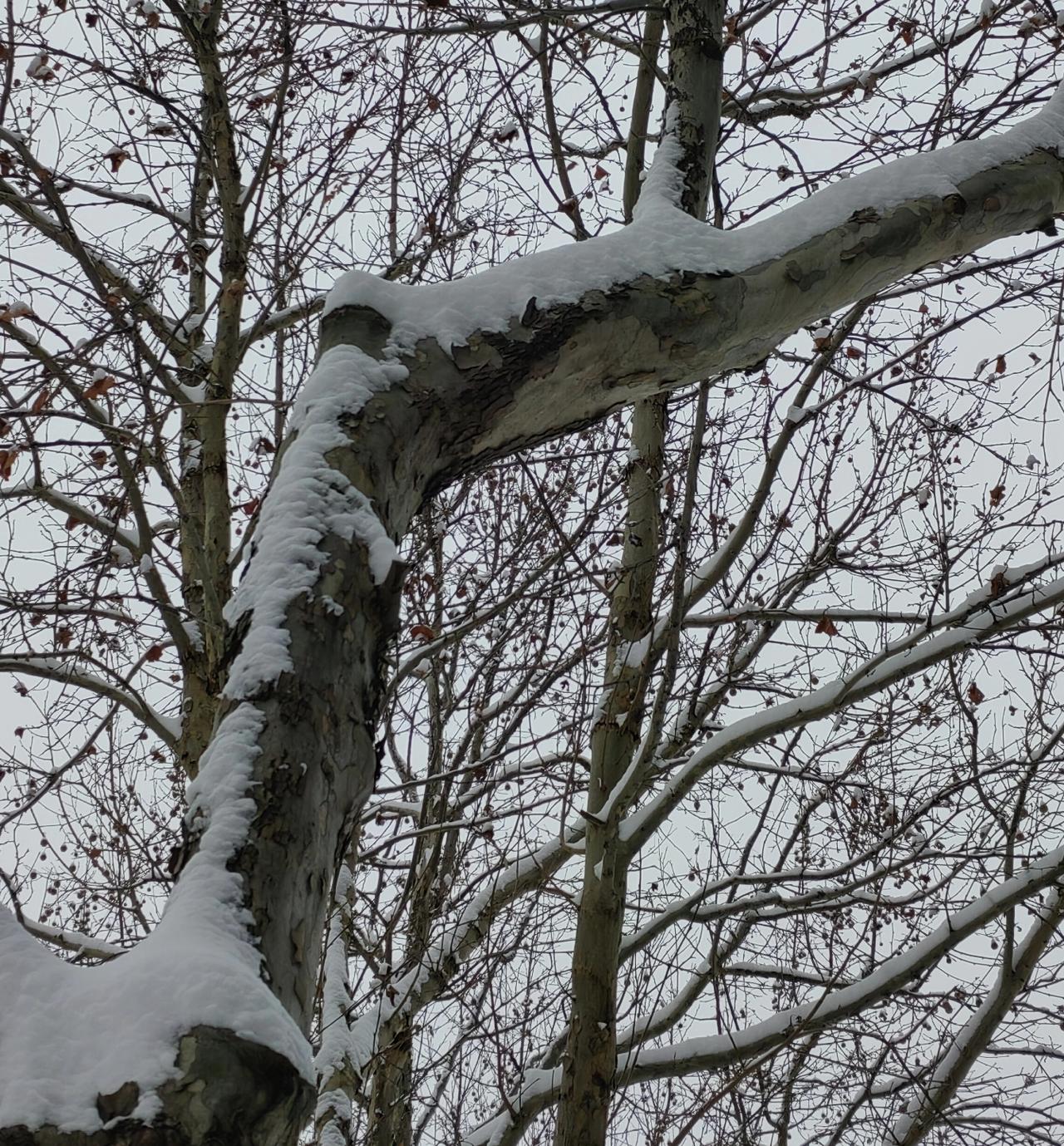 国家统计局公布，新生儿总数由2024年的954万降到2025年的792万，我们国