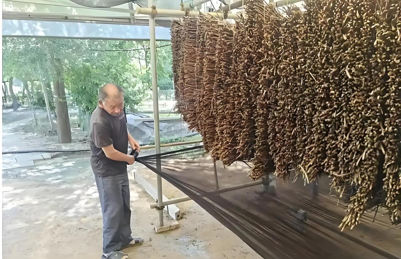 "一只小蝉，能值多少钱？说出来你可能不信——在南阳方城的一个小村庄里，它让200
