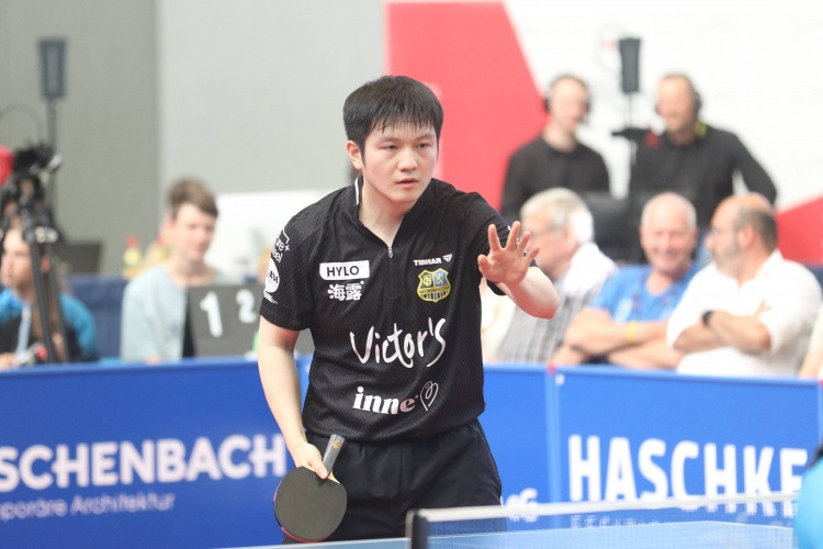 邱党: 樊振东是德甲最好的选手, 与他打比赛是一次非常好的经验