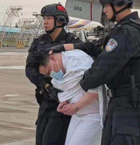 7月20日，北京首都机场一架国际航班舱门缓缓打开，走下来的并非什么重要外商，而是