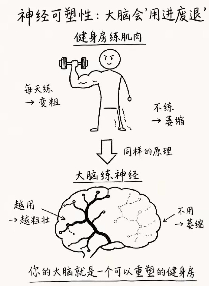 大脑可以重新训练
