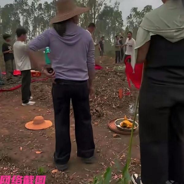 广东有一家人清明去扫墓，但看到先祖墓前正对着的空地上长了几棵桉树，一家人觉得不妥