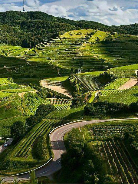 人生最好的积德方式：守好四善，福气自会一路相随最近在各大社交平台，一段关于