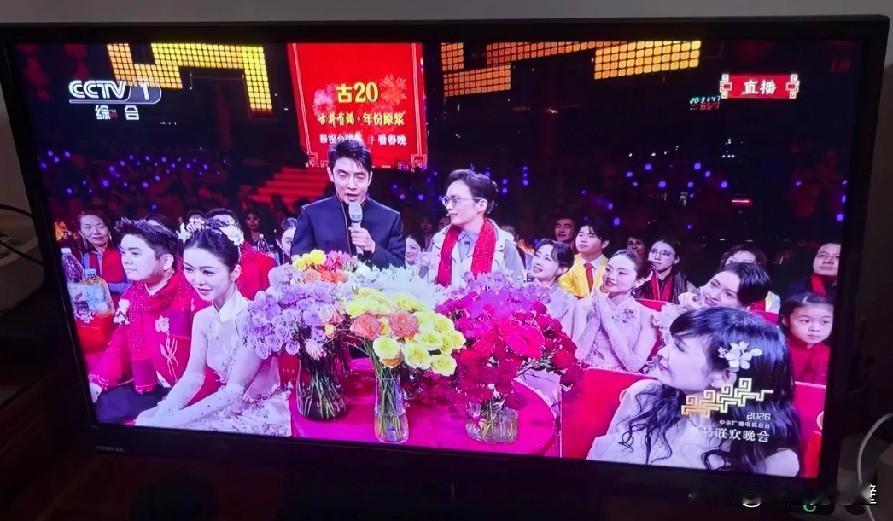 今年的春晚节目，哎今年春晚节目看了三个。第一个真是很好，场面广大，气势恢宏，