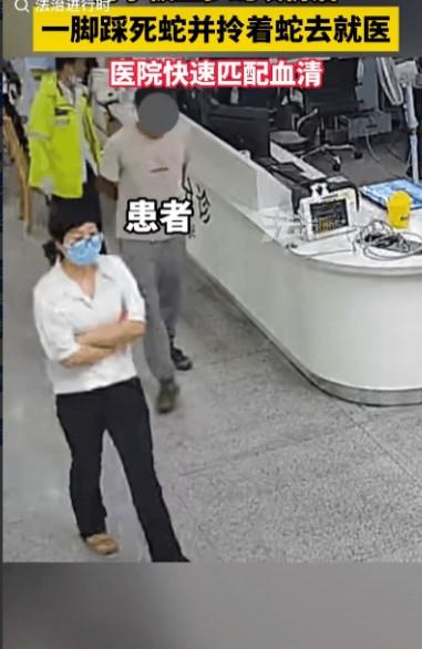 男子被剧毒五步蛇咬伤后，竟一脚踩死蛇头，拎着蛇尸直奔医院！医生听到是五步蛇咬伤，