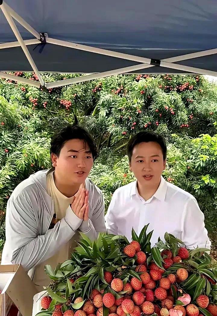 “别消费我妹！”全红婵哥哥硬核护妹！直播间网友起哄让“跳水顶流”婵宝直播卖荔枝