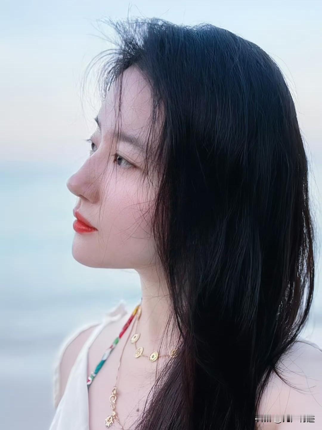 如果鼻子也有奢侈款，那么娱乐圈，这四款就是，任凭整容大师技术再精湛也无法刻制！