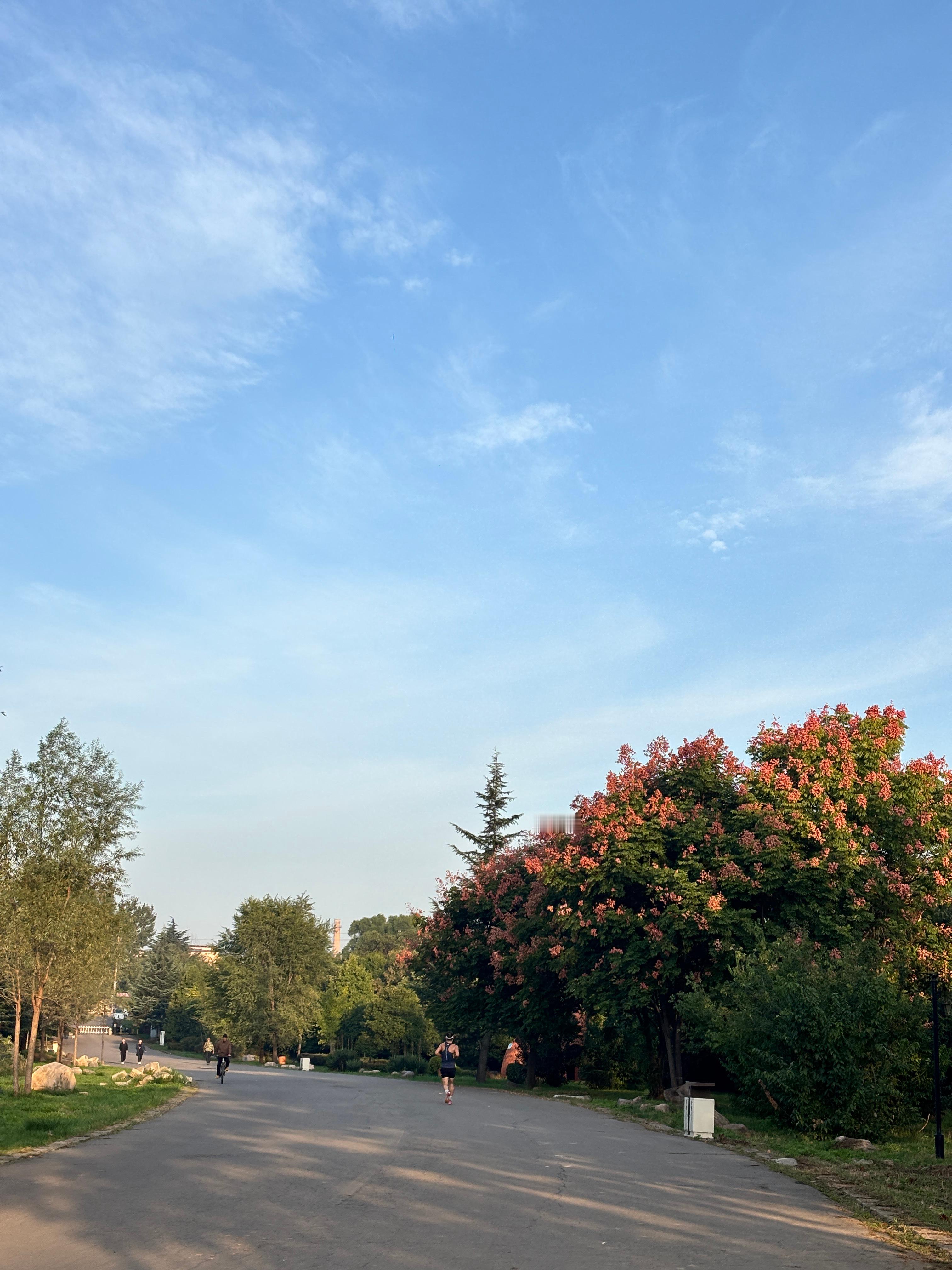 跑步又跑🏃‍♀️了、步频终于一次190了有氧耐力和有氧动力差不多一
