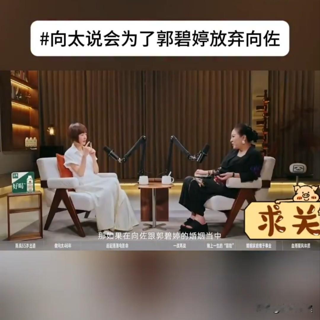 向太，又语出惊人了！8月24日，向太在访谈节目《陈鲁豫慢谈》中，当问及如果儿