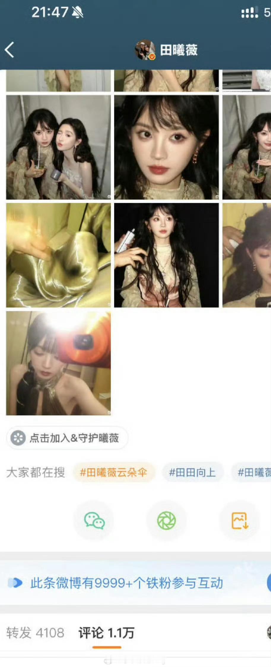 田曦薇今日营业，9分钟铁粉9999+，牛哇🐮​​​