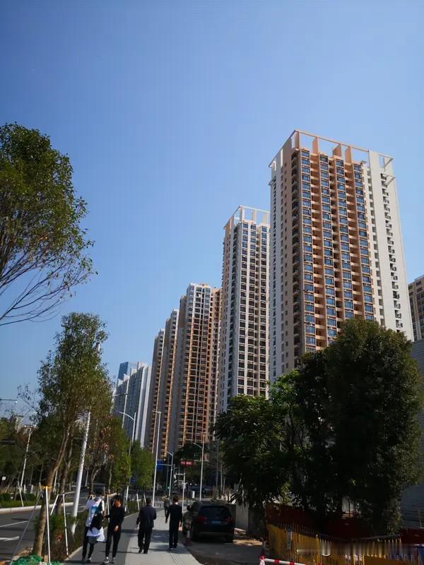 深圳保障房建设为什么猛踩刹车？对市场有什么影响？一是，建不动，也卖不动了。