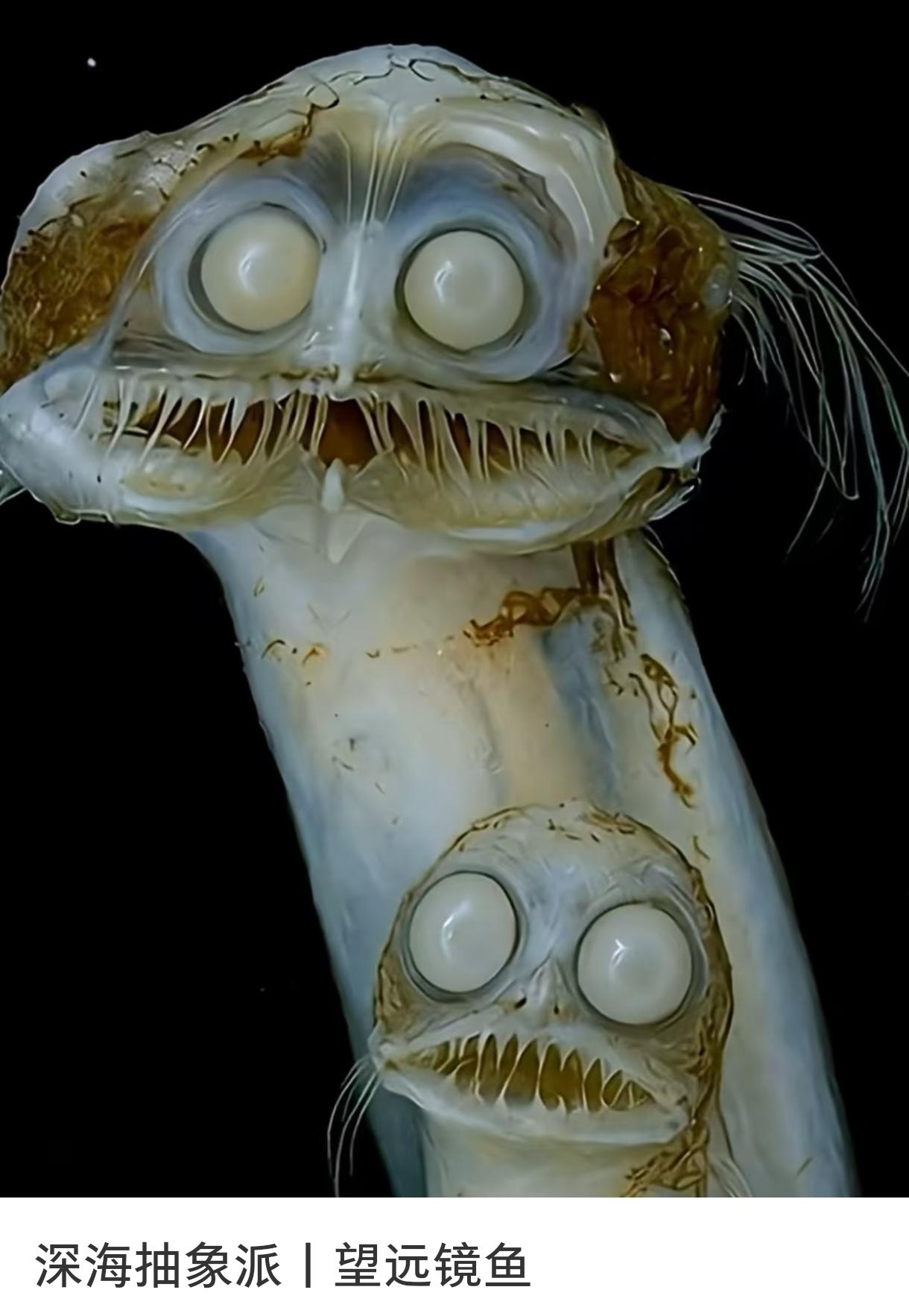 科学家实锤：地球深海比太空更可怕！人类的探测器早就飞出太阳系边缘了。我们能