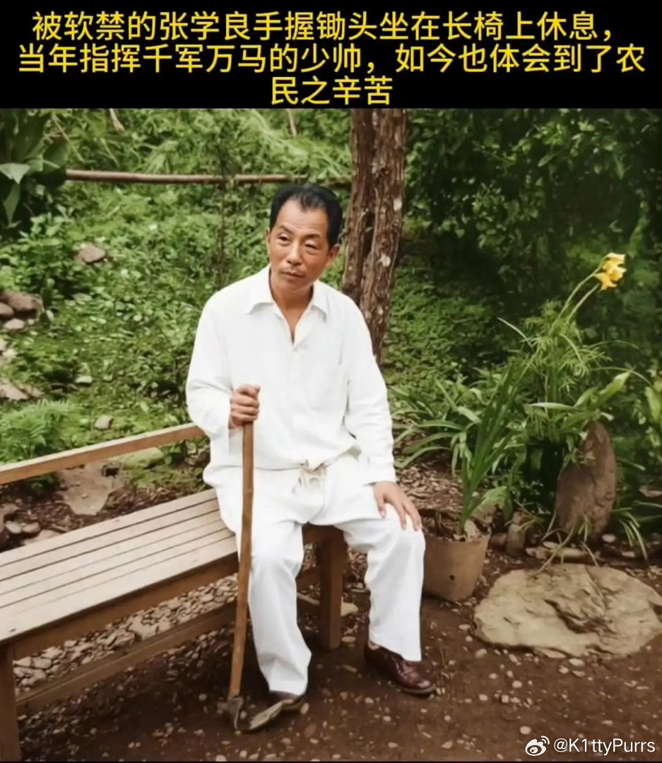 1947年张学良在台湾种豆角，赵一荻抓拍，张学良步伐稳健，昂首挺胸​​​
