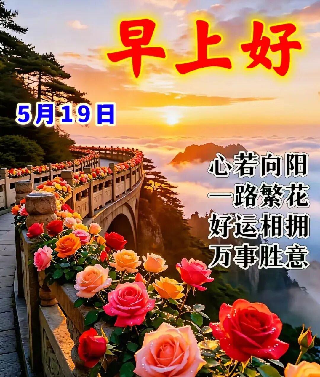 感谢岁月结下的友情，感恩人生美好的相遇；一声“你好”是我真心的牵挂，一句“安康”