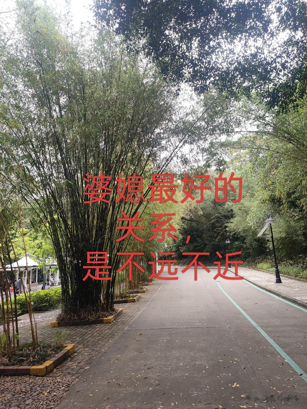 婆媳不住一起，还能客客气气；住在一起，早晚是仇人老程说句大实话。婆媳这玩