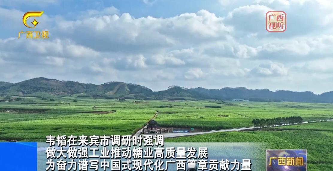 7月21日，广西壮族自治区领导深入来宾市调研。先后来到来宾市兴宾区凤凰镇黄安