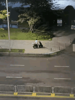 一位小姐姐居然深夜骑电动车带着狗狗去了一个公园附近，然后遗弃狗狗，她给了狗狗一些