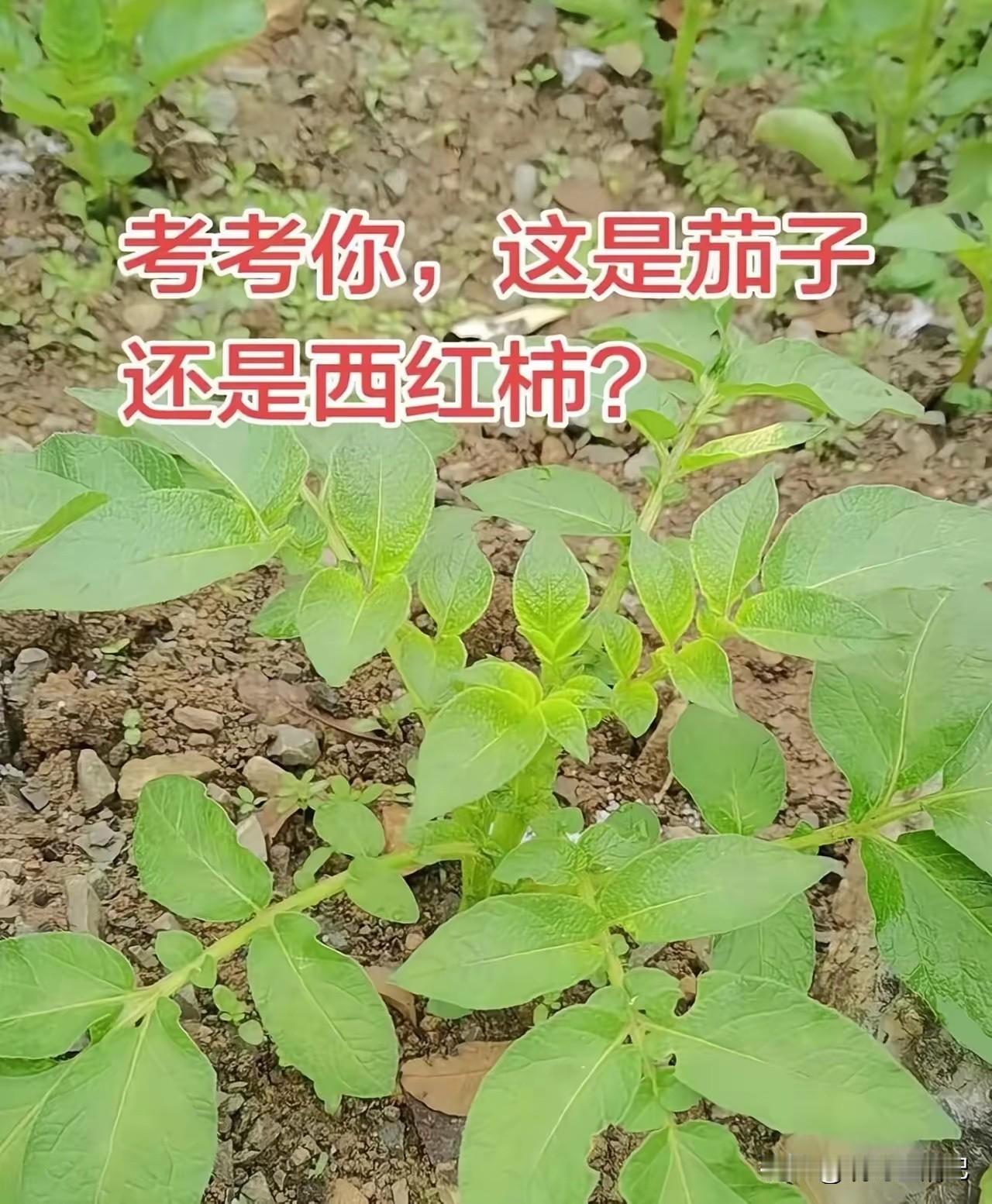 问了18个同事，无一人答对。
