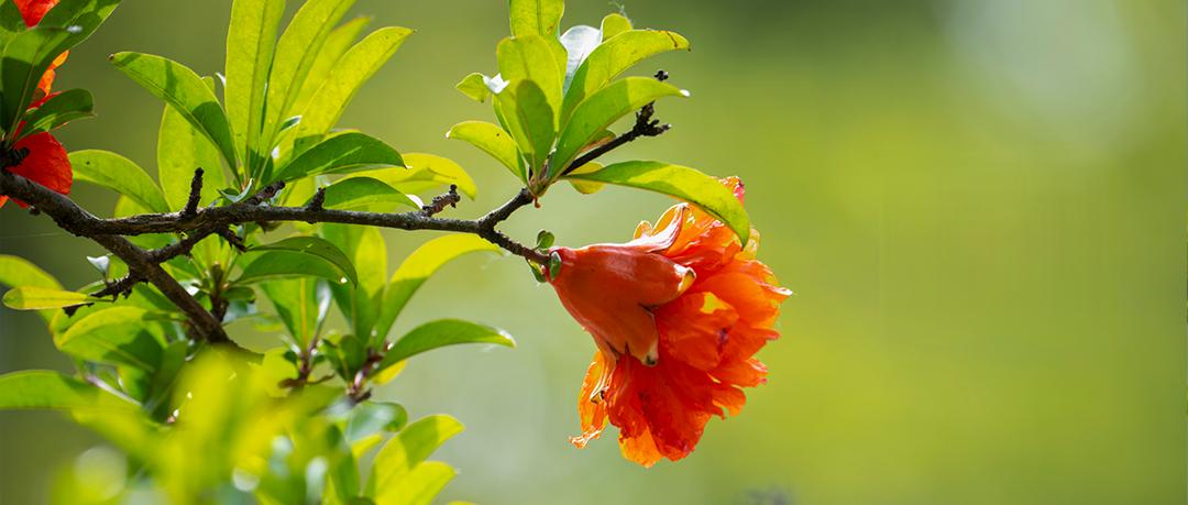 我大姐今年69岁了，大姐夫去世3年了，她活成了让人敬佩的老人。1、自己独自居住