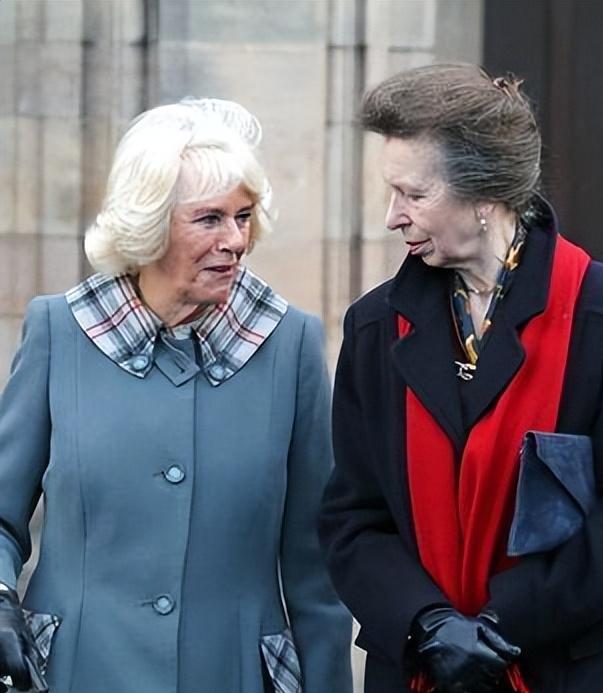 能与卡米拉一较高下的，除了凯特，还有安妮公主卡米拉，一直都怵小姑子安妮公主，为