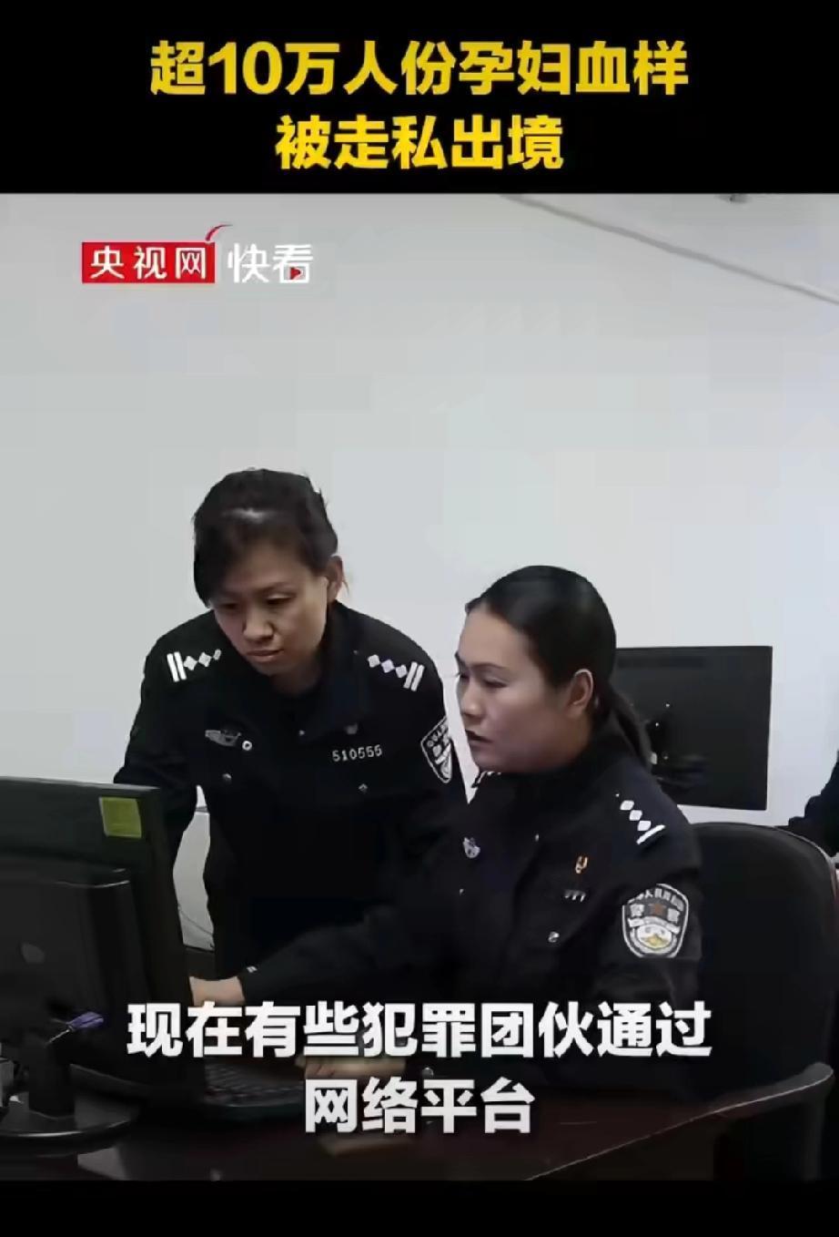 广州破获走私10余万份孕妇血样出境系列案，一举斩断横跨23个省份跨境黑色产业链！