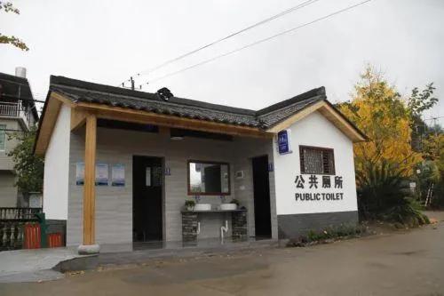 看了浙强丽水那两个公厕里晾满茶叶的视频，我算是彻底想明白了——为啥有人宁愿多