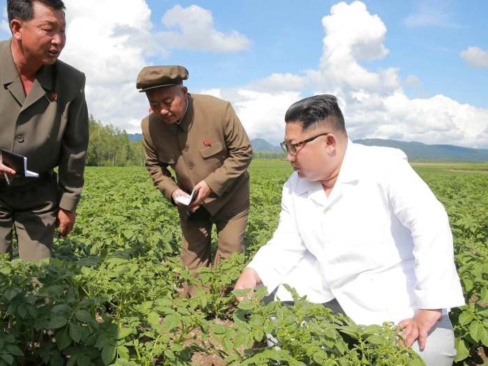 朝鲜遭遇史无前例灾难 政府向全民发出警告 分享事件 第1张