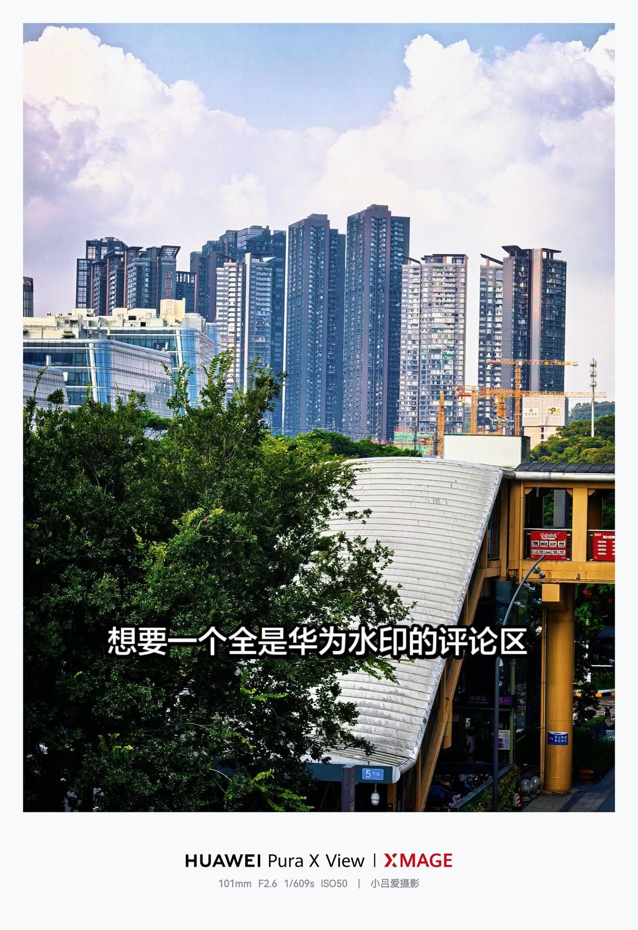 城市里的精神栖息地城市风景随拍城市幸福感摄影华为PuraXMax