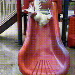 为什么总是特别好的妹子天天内耗而真正的贱人天天幸福